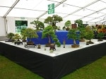 AFS 2016 15.JPG
